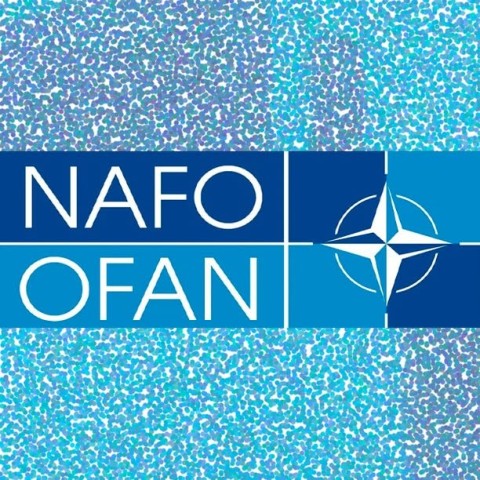 Наклейка «NAFO» для справжніх NAFO FELLAs